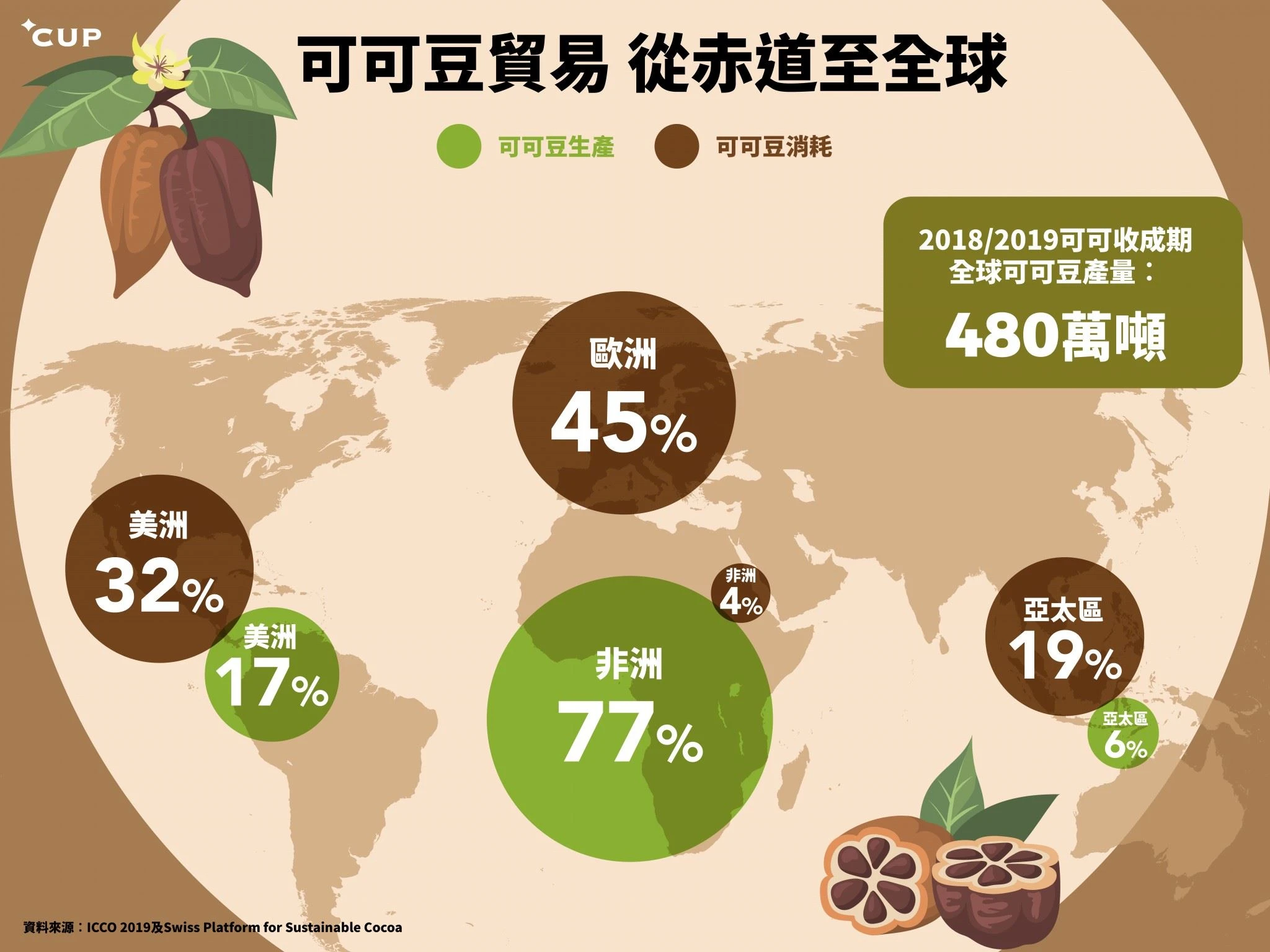 Culture du cacaoyer